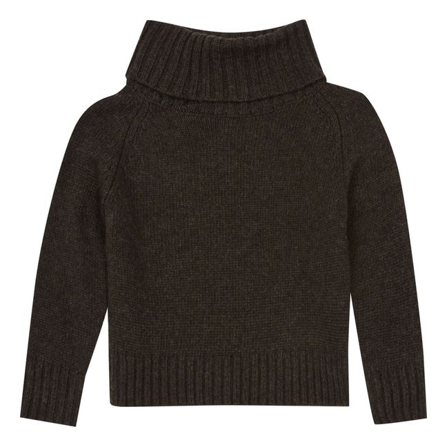 Wool and Cashmere Polo Neck Brown