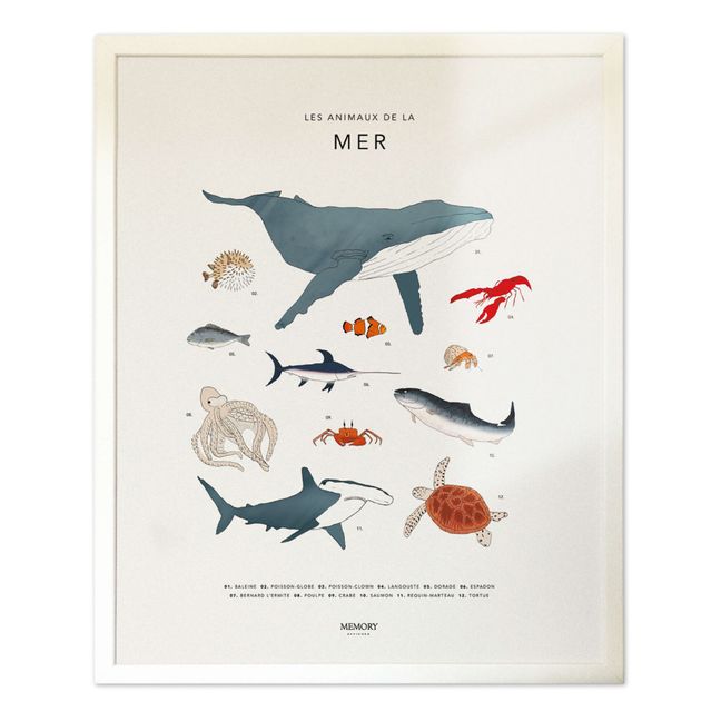 Sea Creatures Poster