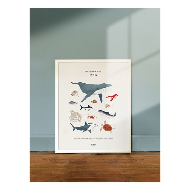 Poster - Animali del mare