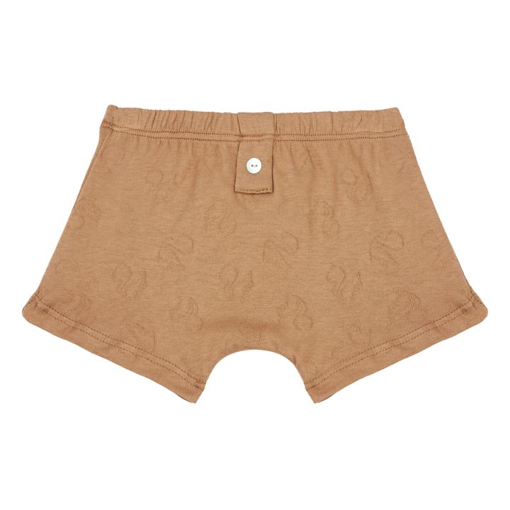 Organic Cotton Briefs | Brown- Product image n°0