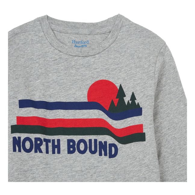 T-shirt, modello: North Bound Grigio
