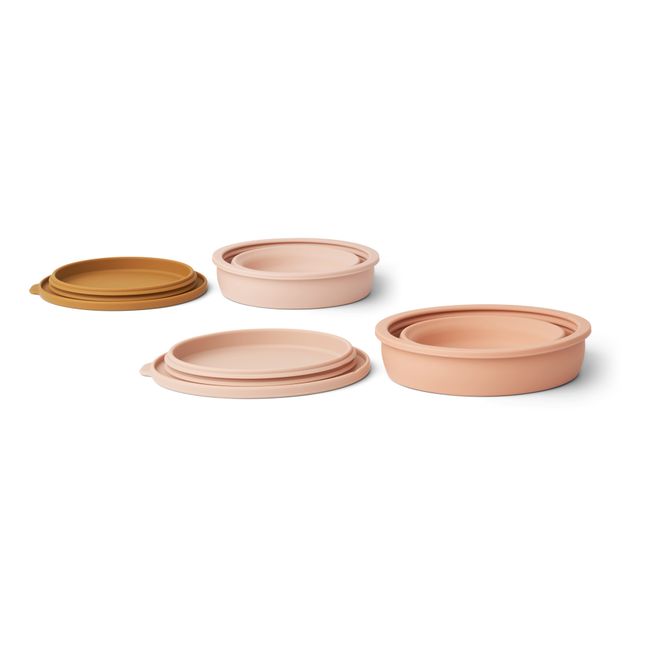 Dale Stackable Silicone Bowls - Set of 2 Rosa antico
