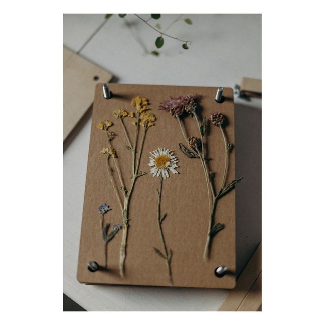 Herbier | Vert