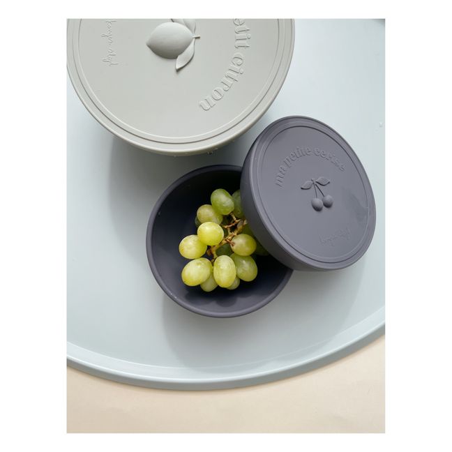 Silicone Snack Boxes - Set of 2 Grey