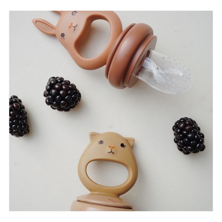 Food & Fruit Feeder Pacifier Set for Baby (Snow & Blush)