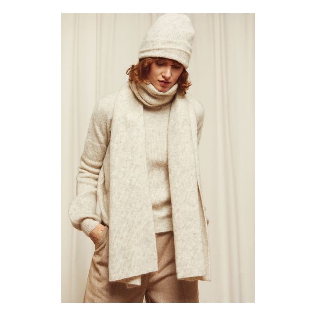 Amos Mohair and Wool Beanie Heather beige