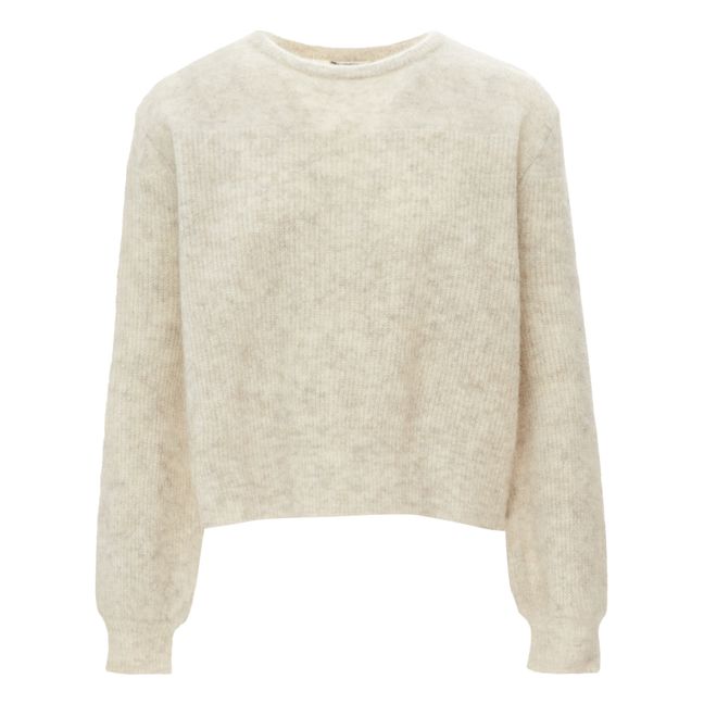 Sidel Mohair and Wool Jumper Heather beige
