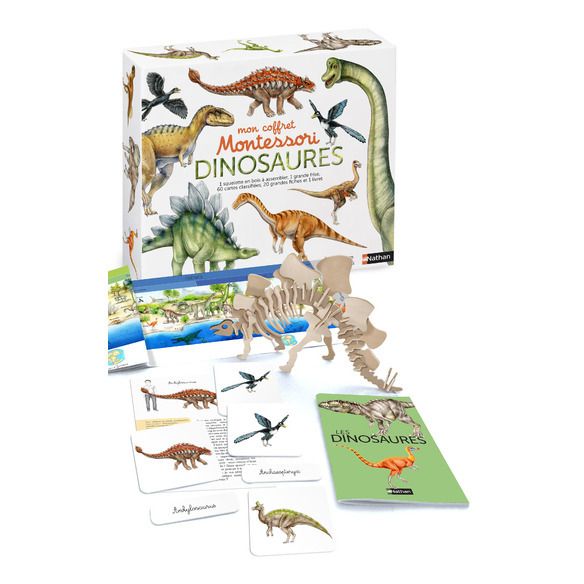 Montessori Dinosaur Kit