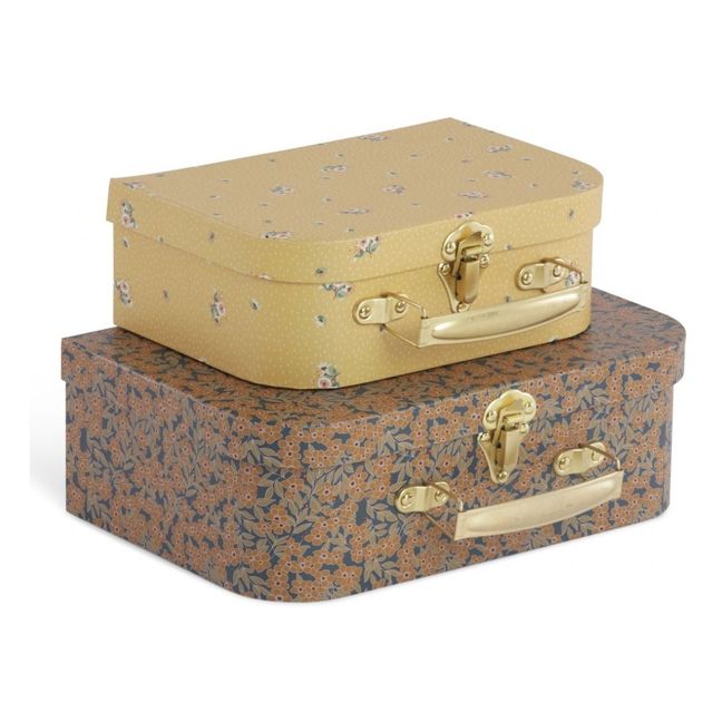 Cardboard Storage Cases - Set of 2 Brown