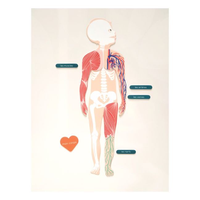 Magnets Anatomie : jeu magnétique éducatif sur le corps humain