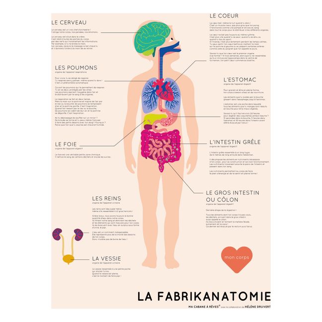 Imanes Fabrikanatomie