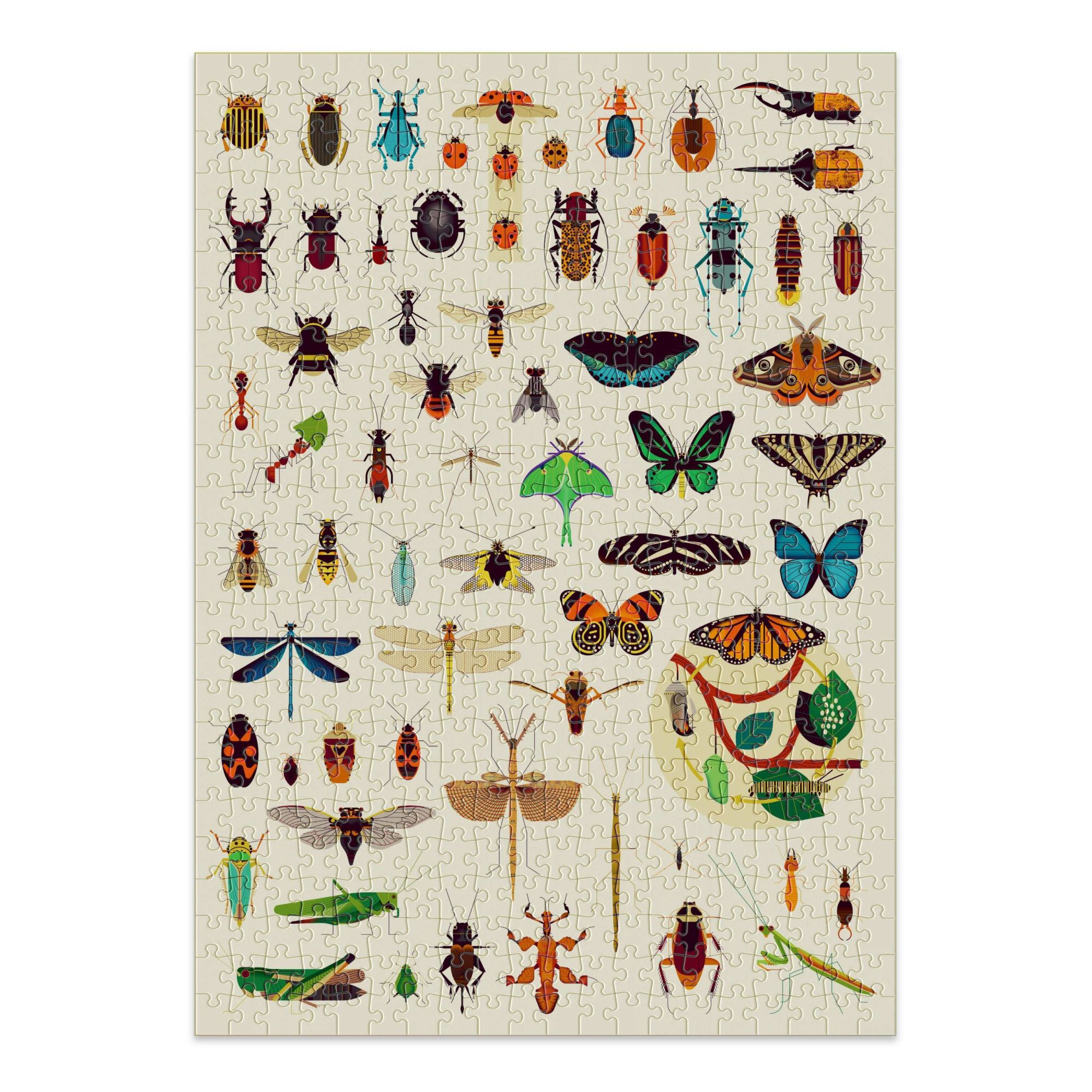 Insect Puzzle - 500 Pieces- Product image n°1