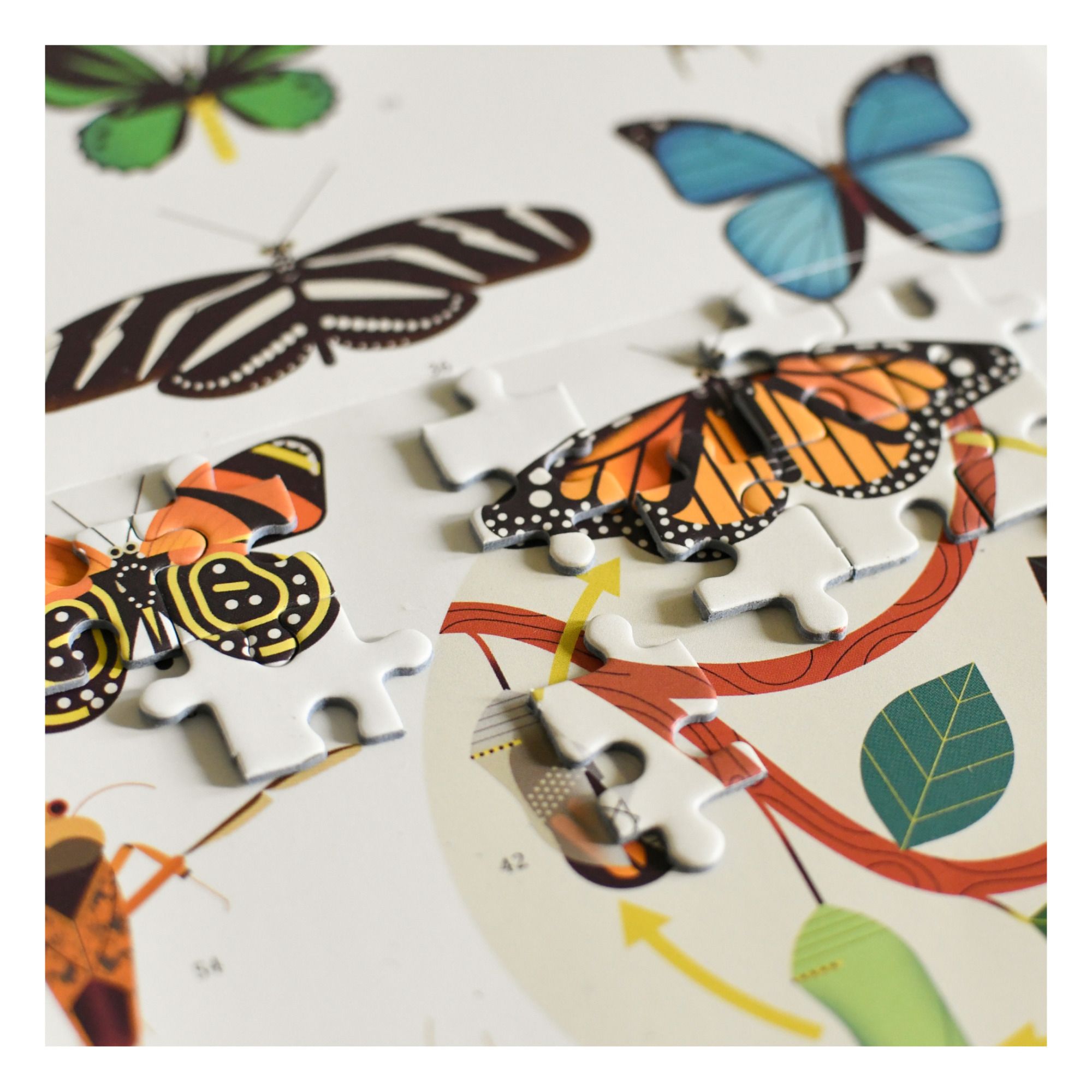 Insect Puzzle - 500 Pieces- Product image n°7