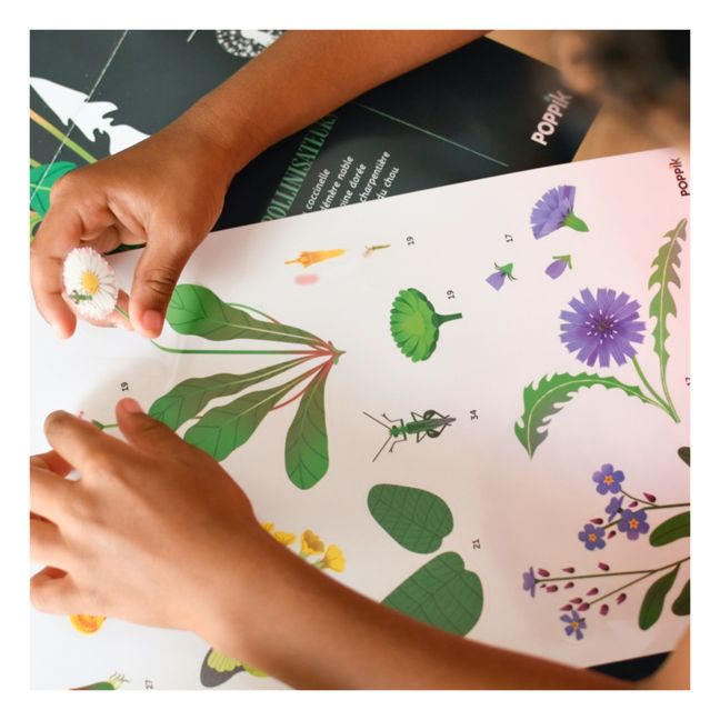 Poster e sticker - Botanica