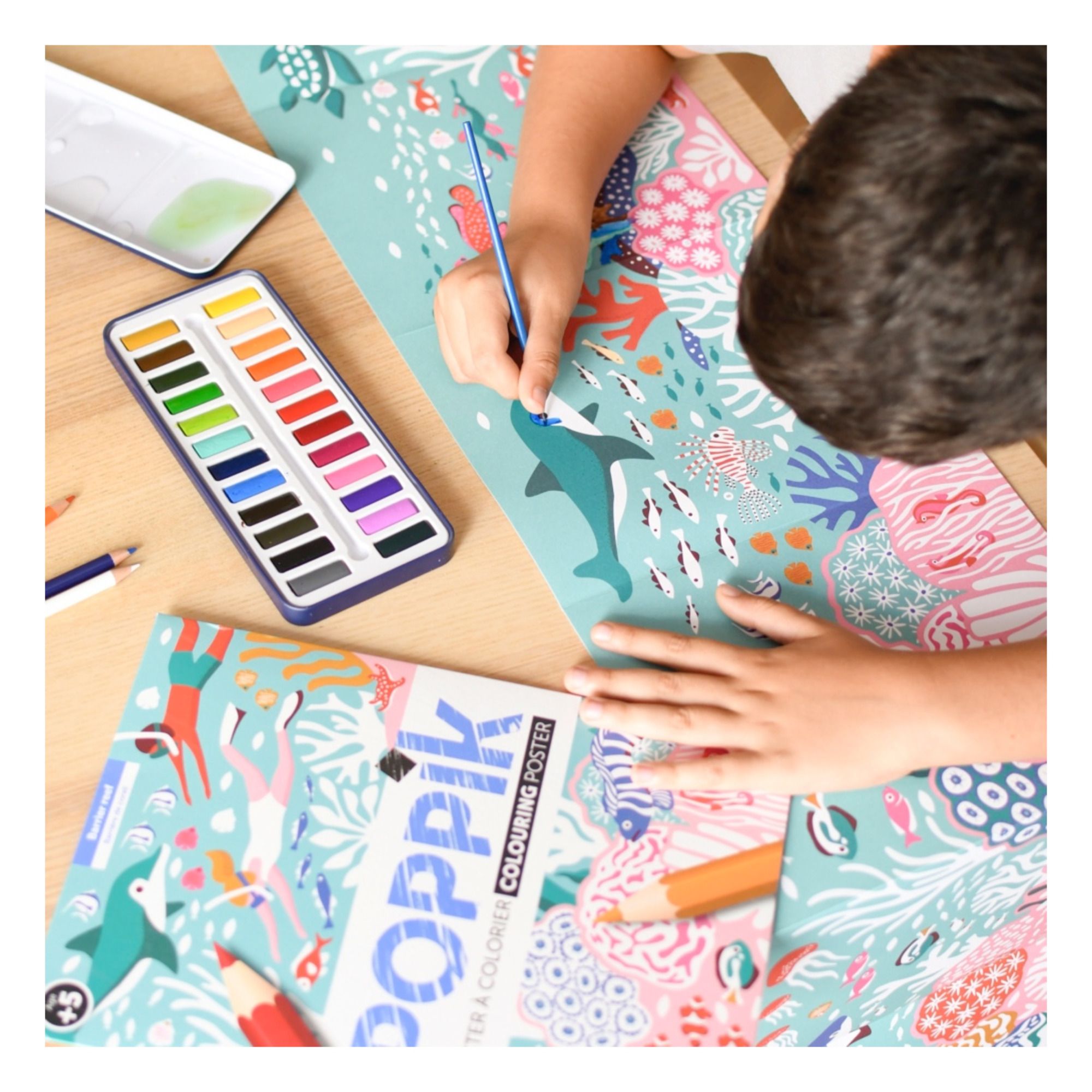 Coral Reef Colouring Poster- Product image n°2