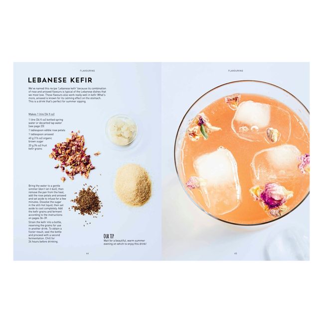 Kombucha, Kefir & Natural Sodas - EN