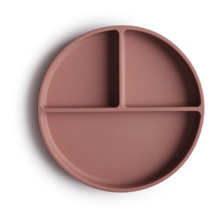 Silicone Plate | Terracotta- Product image n°0