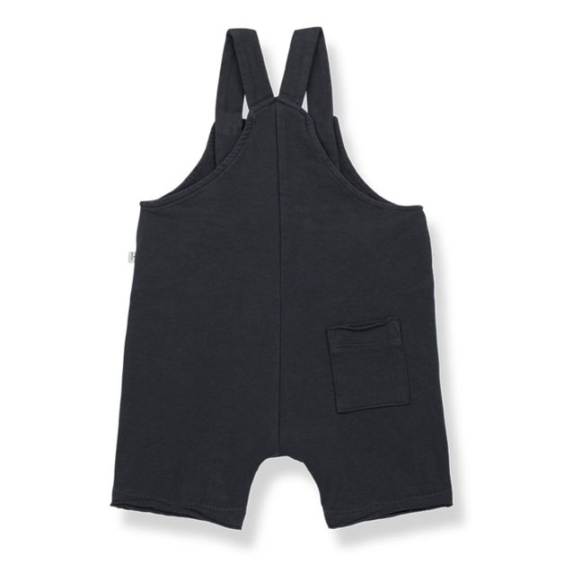 Ajay Overalls Carbon