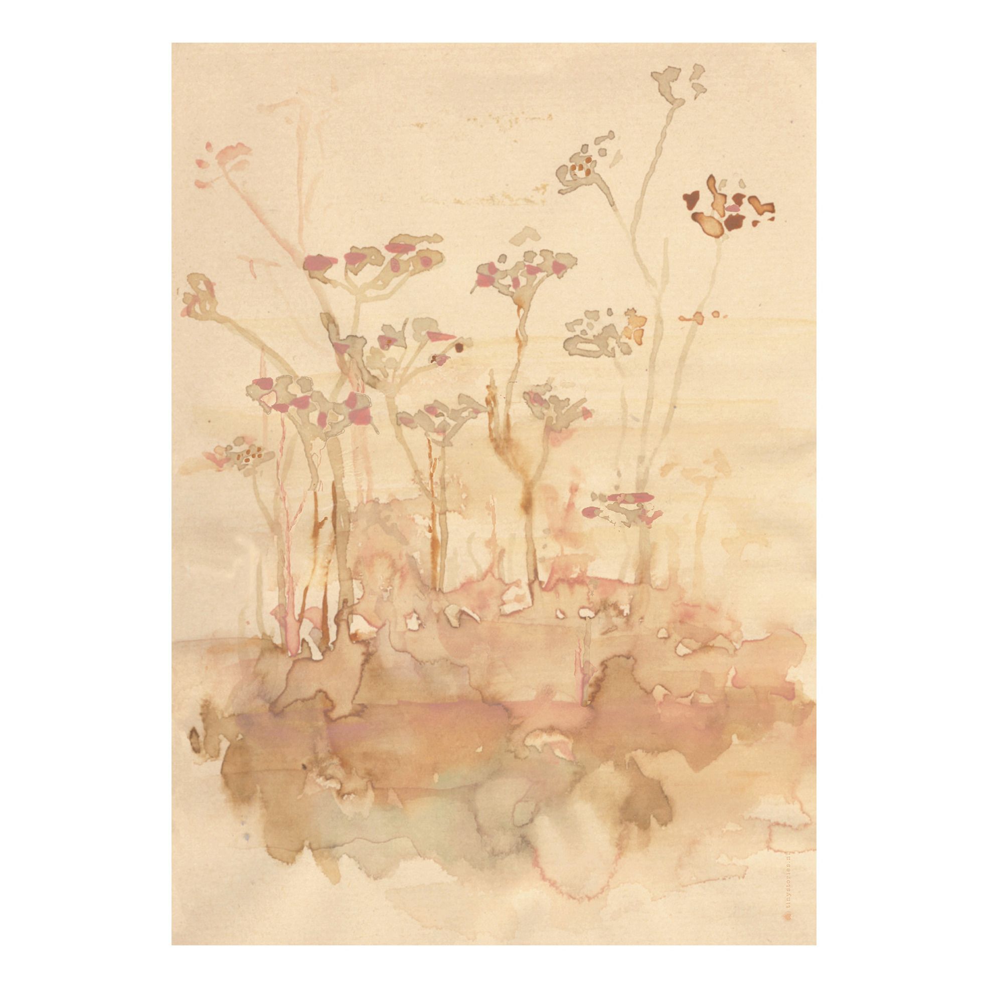 Tiny Stories - Affiche Wild Flowers - Multicolore