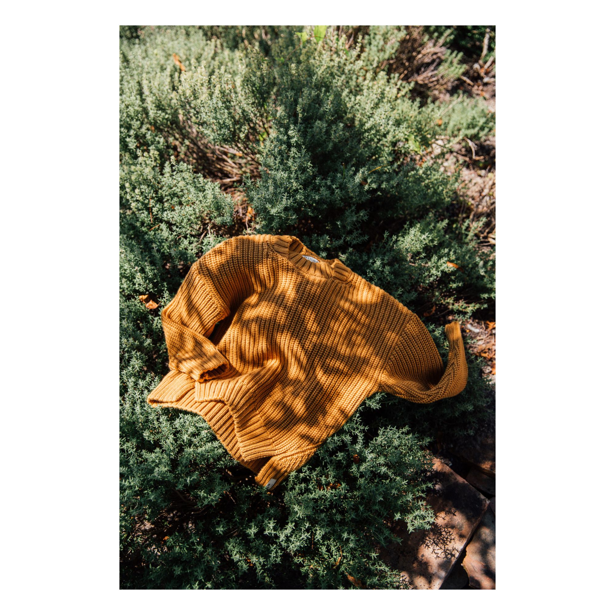 Jersey de algodón orgánico Sia Ocre- Imagen del producto n°2