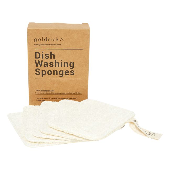 Reusable Sponges - Set of 5 | Off white