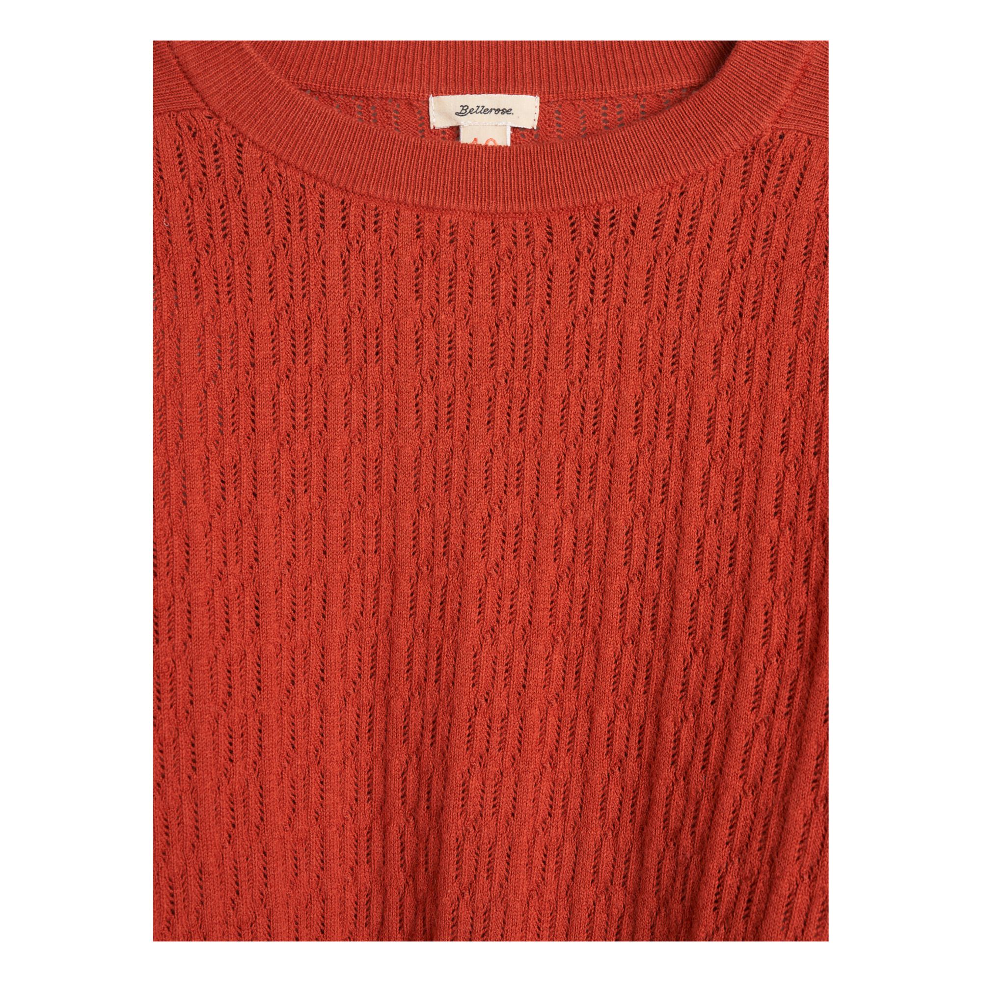 Ginour Cashmere Jumper Brick red- Product image n°7