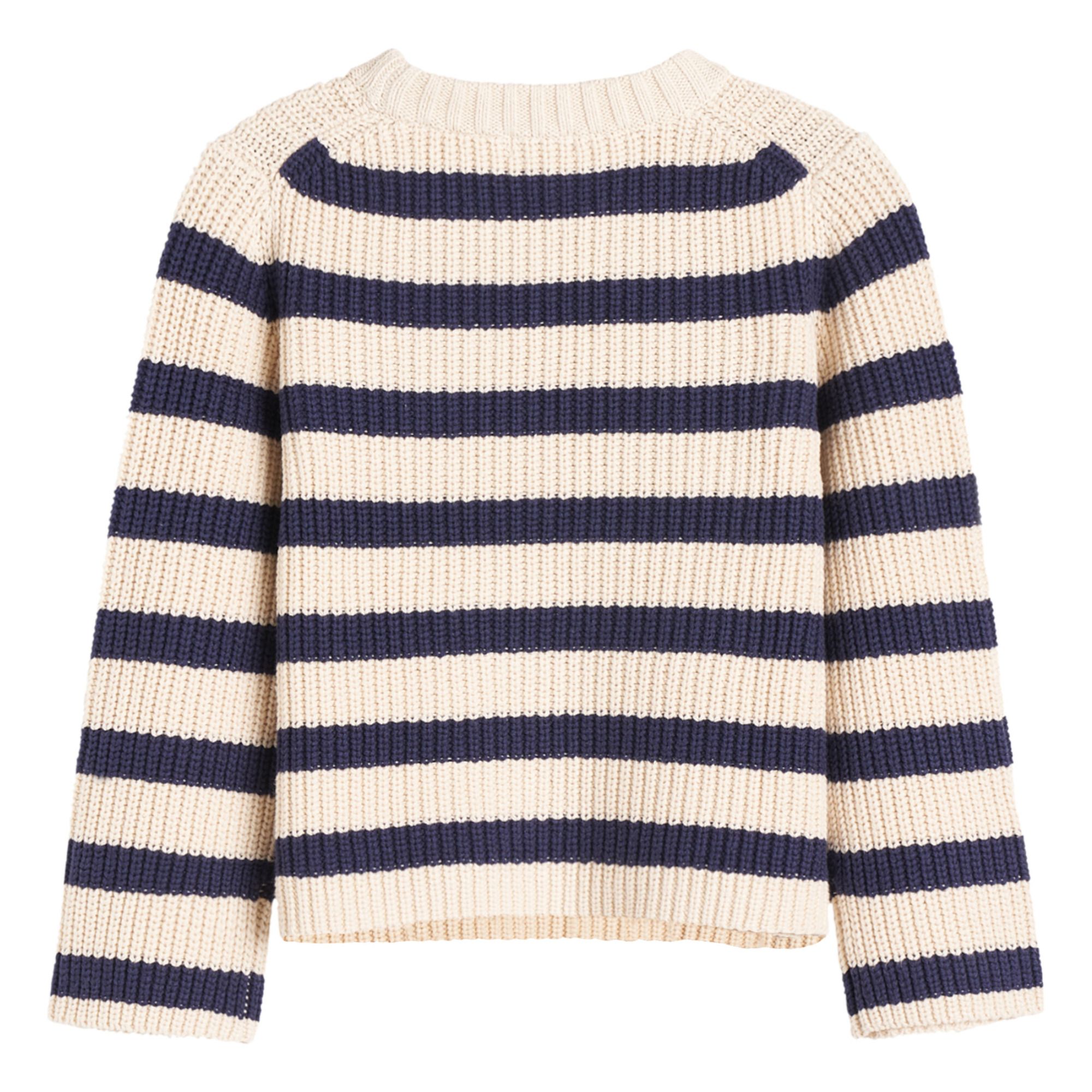 Gelza Striped Jumper Navy blue- Product image n°8
