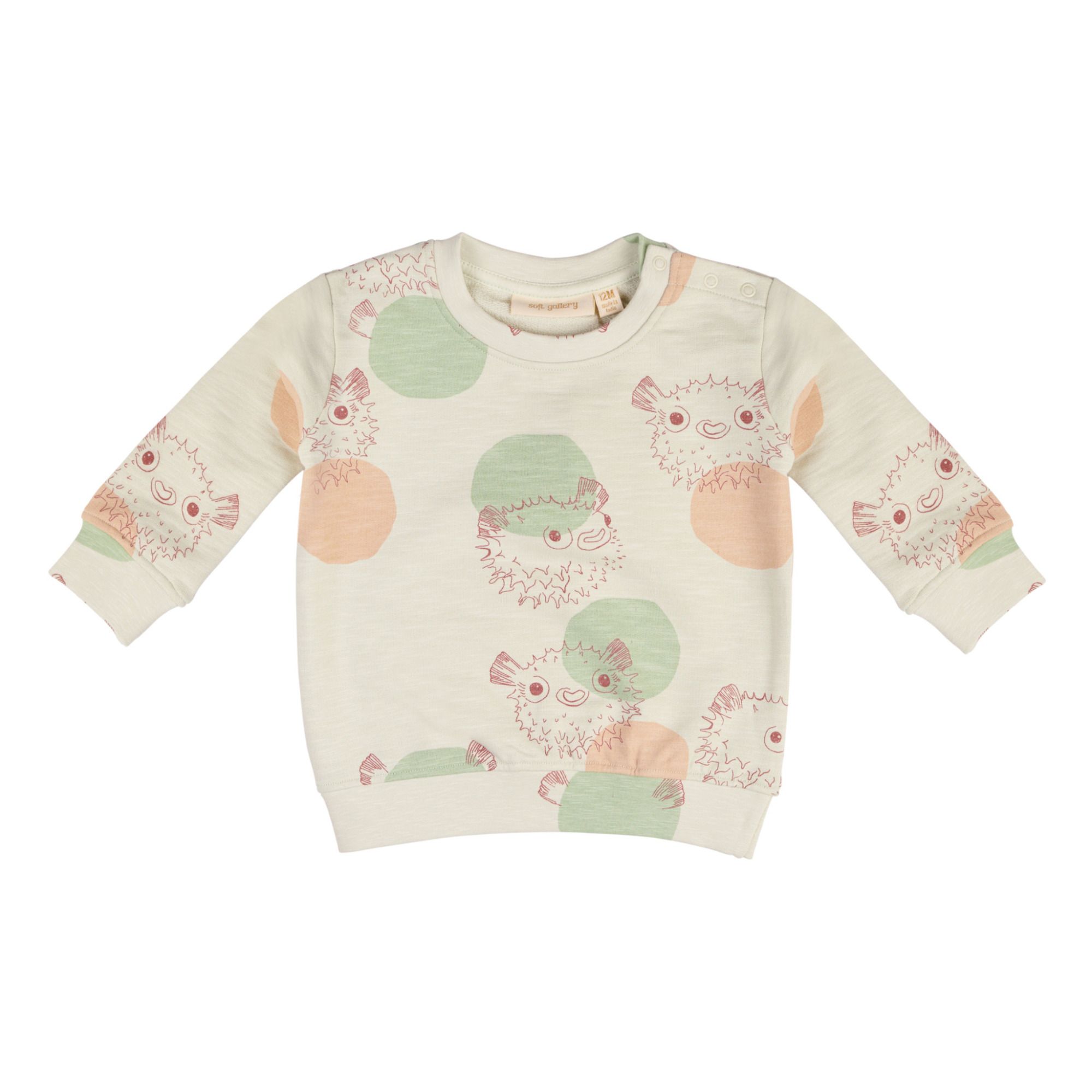 Soft Gallery - Sweat Coton Bio Buzz - Fille - Vert d'eau
