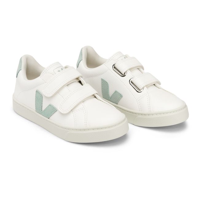 Baskets Scratchs Esplar Cuir | Vert d'eau