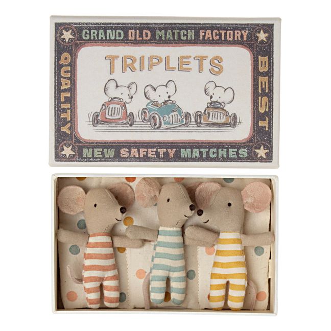 Triplet Baby Mice in their Box