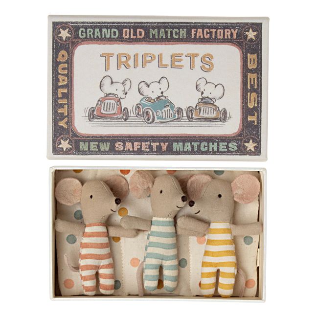 Bébés triplets souris dans leur boite