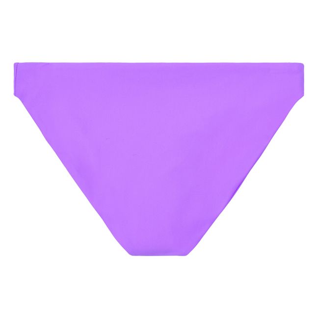 Lure Bikini Bottoms Violett