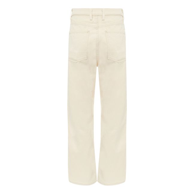 Plein High-Waisted Jeans Claire Rinse