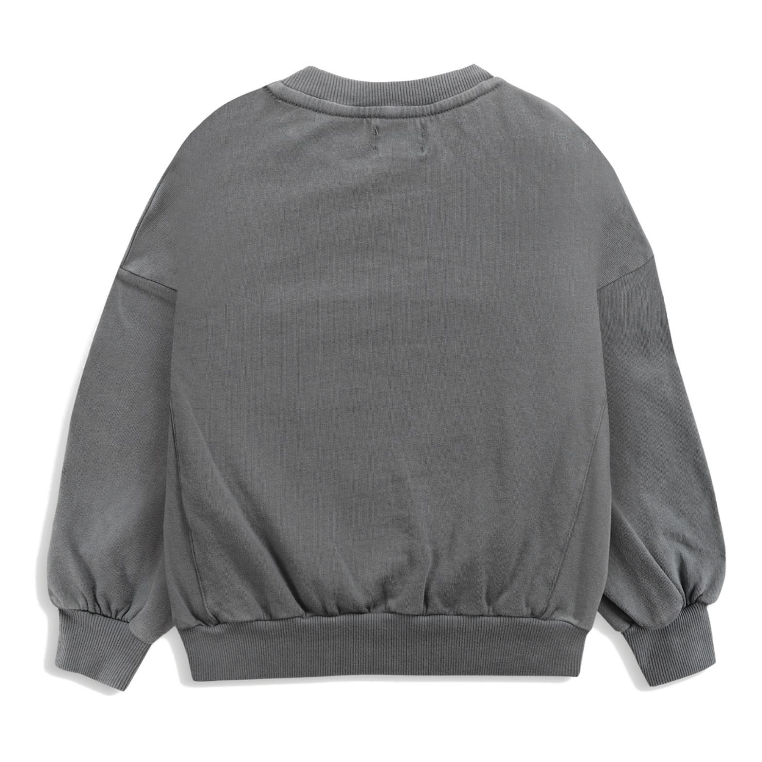 Organic Cotton Mountain Sweatshirt Grey- Product image n°4