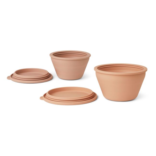 Bols de conservation pliable Dale en silicone-set de 2 | Rose