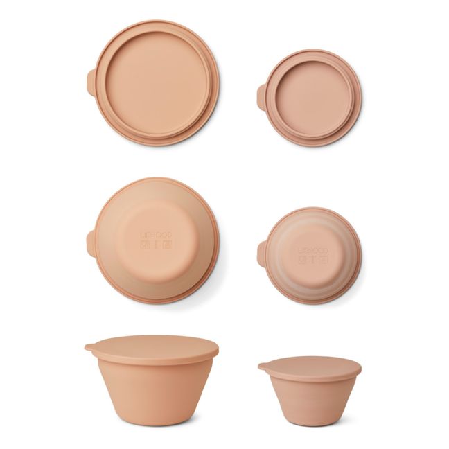 Dale Silicone Foldable Storage Bowls - Set of 2 Rosa