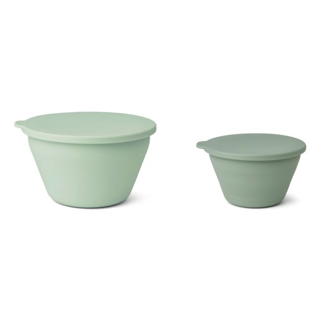 Dale Silicone Foldable Storage Bowls - Set of 2 | Pale green