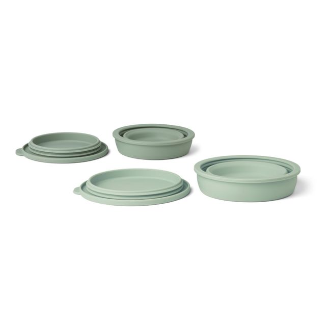 Dale Silicone Foldable Storage Bowls - Set of 2 | Blasses Grün