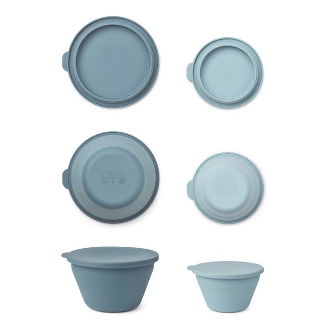 Dale Silicone Foldable Storage Bowls - Set of 2 | Blu