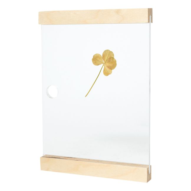 Cadre pour herbier