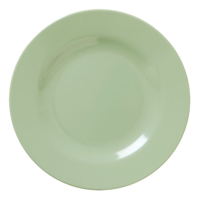 Plate Verde Kaki