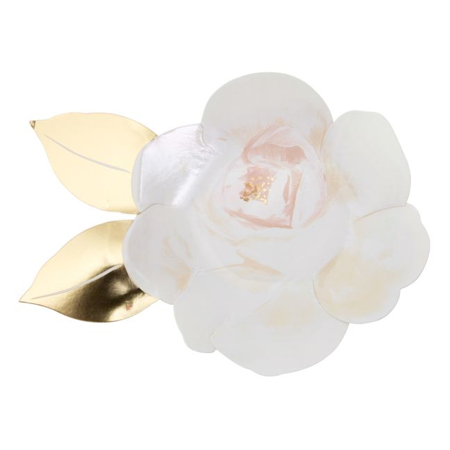 Assiettes en carton Jardin de Roses - Set de 8