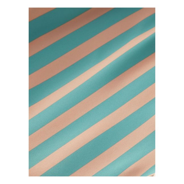 Striped Swim Trunks Blu