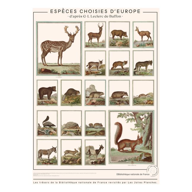 European Animals from Buffon’s Encyclopaedia 