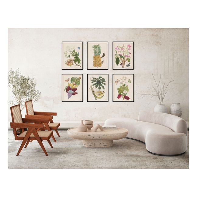 Indian Jasmine Poster - Merian