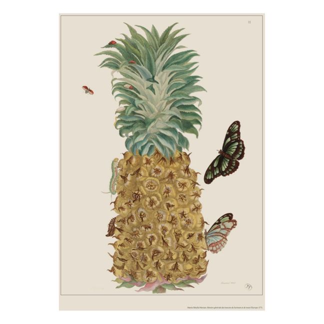 Pineapple Poster - Merian