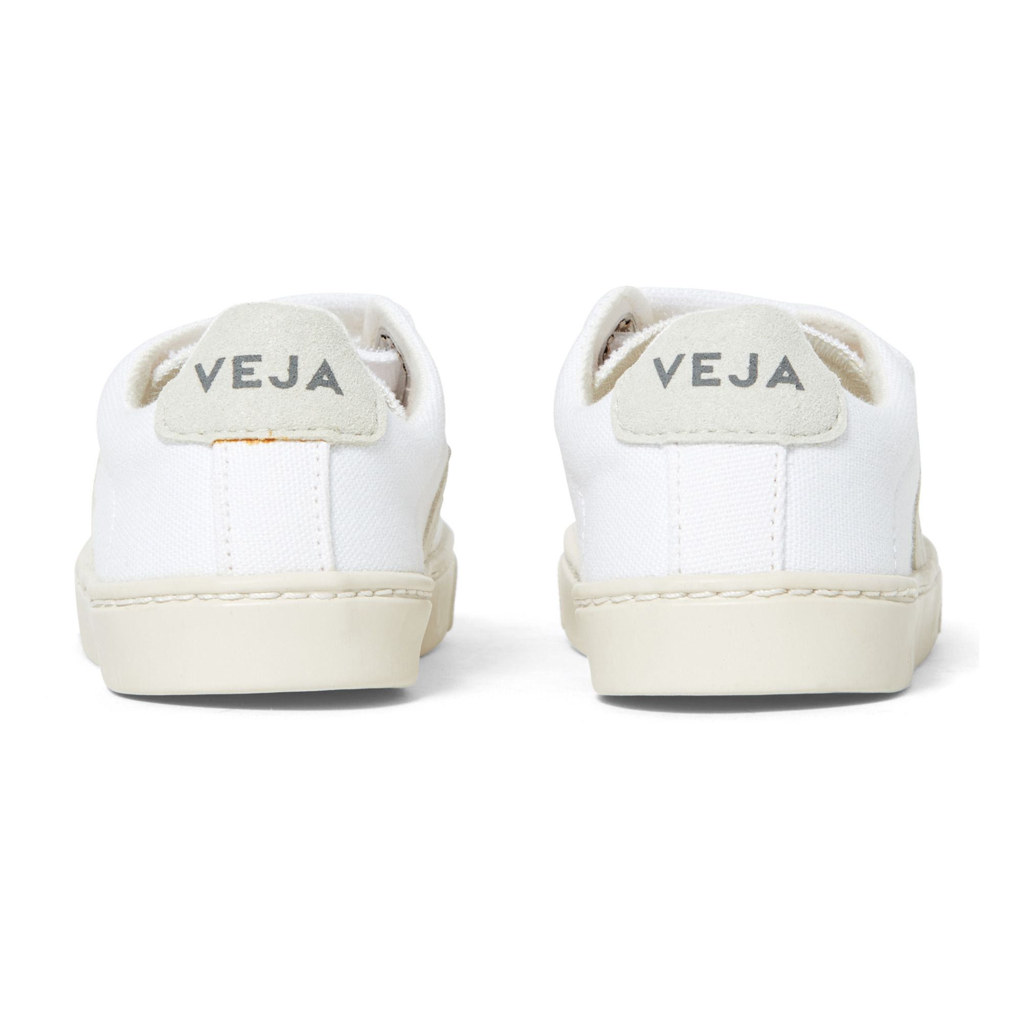 canvas veja trainers