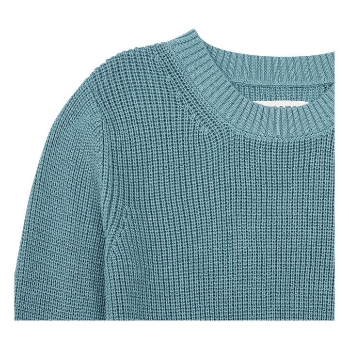 Jersey de algodón orgánico Azul Claro- Imagen del producto n°1