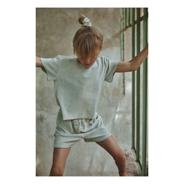 Carnation Organic Cotton Terry Cloth Shorts | Grey- Product image n°1