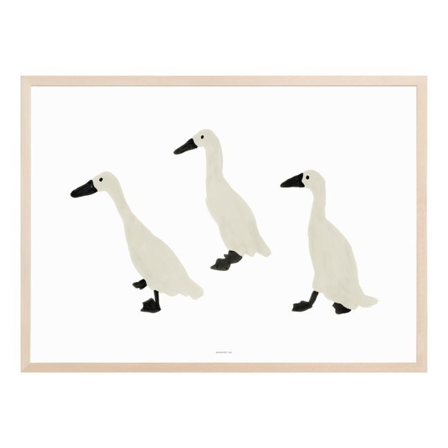 Indian Runner Duck Poster